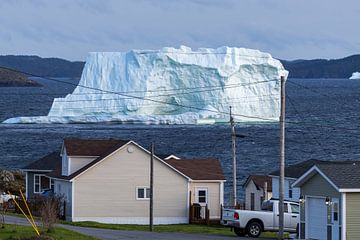 IJsberg voor de kust van Twillingate Newfoundland van Menno Schaefer