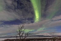 Himmelsbogen über Abisko – Das grüne Licht der Stille