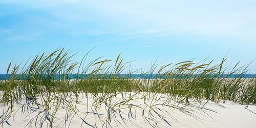 Dune by Reiner Würz / RWFotoArt