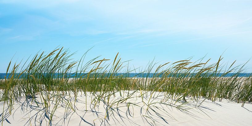 Dune by Reiner Würz / RWFotoArt