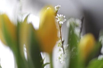 Gele Tulpen. Lente. van Marianna Pobedimova