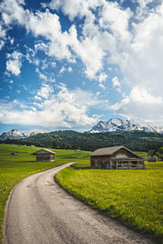 Buckelwiesen, Mittenwald [I]