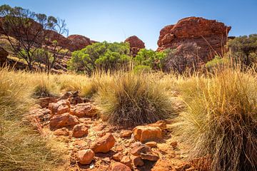 Kings Canyon - Australië van Troy Wegman