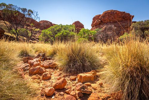 Kings Canyon - Australië