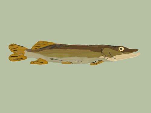 Pike Illustration - Soft greens & Earth tones
