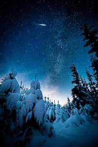 Winterlandschap van Markus Schulz