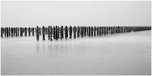 palen in het water
