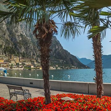 GARDASEE Prächtige Uferpromenade in Limone sul Garda von Melanie Viola