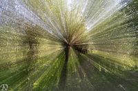 Rhoonse grienden 1