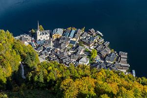 Blick auf Hallstatt