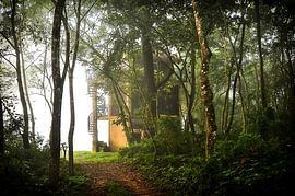 De Jungel by Dennis Timmer