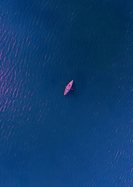 Roze boten in het midden van de zee van Gapran Art