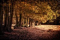 Herfst