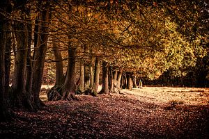 Herfst