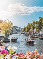 Frühling in Leiden