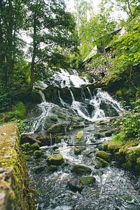 Kleiner Wasserfall im Wald mit Moos auf Steinen