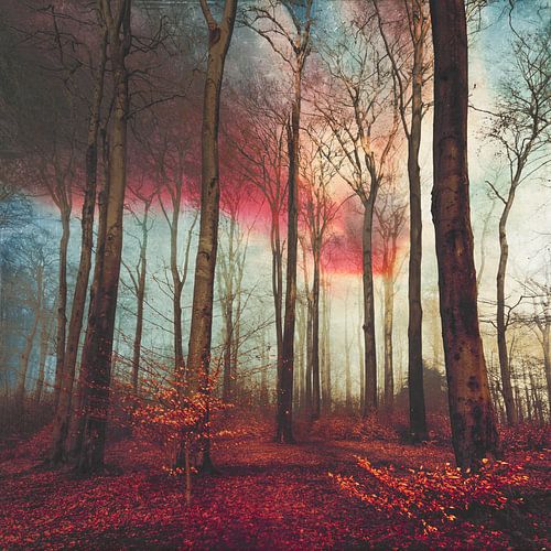 Rubinroter Abend im Wald