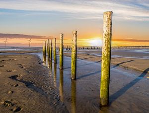 Pfähle im Watt an der Nordsee bei Sonnenuntergang