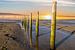 Pfähle im Watt an der Nordsee bei Sonnenuntergang von Animaflora PicsStock