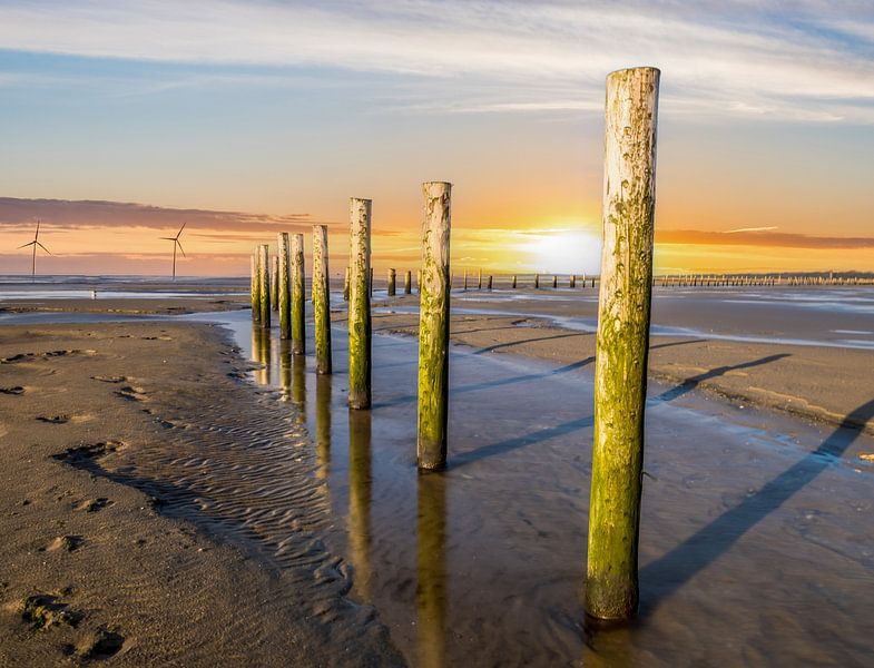 Piles in the mudflats on the North Sea at sunset by Animaflora PicsStock