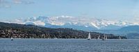 Lake Zurich panorama
