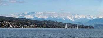 Panorama du lac de Zurich