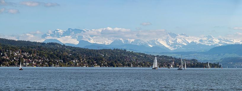 Lake Zurich panorama by Richard Wareham