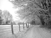 Snow road