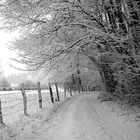 Chemin de neige sur Christine GUILLET