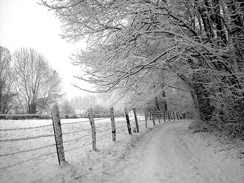 Chemin de neige