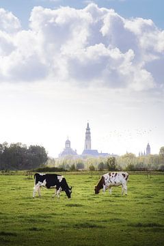 Middelburg the Dutch way by Thom Brouwer