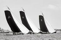 Battle on the Sneekermeer lake by ThomasVaer Tom Coehoorn thumbnail