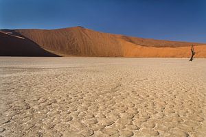 Sossusvlei van Denis Feiner