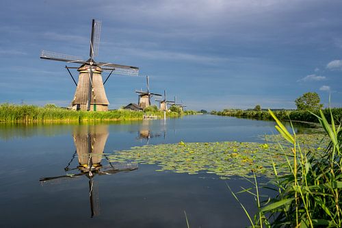 Windmolens van Kinderdijk