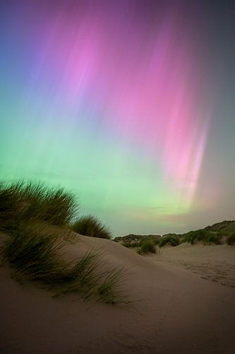 Aurores boréales sur les dunes de Zélande