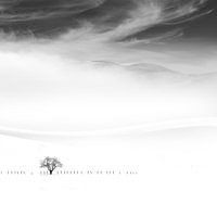 Poems of silence
