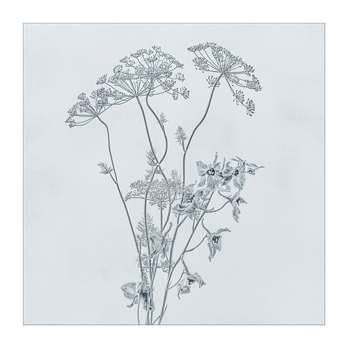 Blumenstillleben in Schwarz-Weiß.