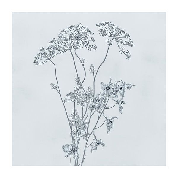 Blumenstillleben in Schwarz-Weiß. von Anneke Van Hulst