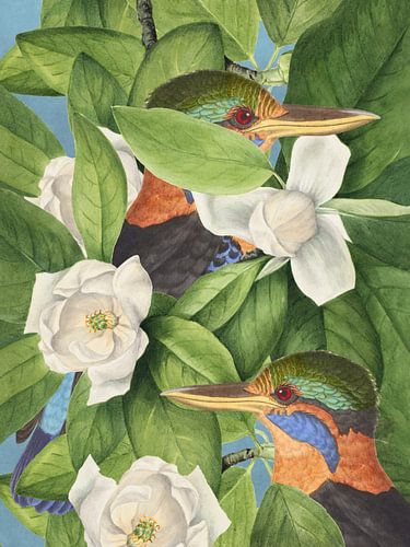 Hide Between the Magnolias by Marja van den Hurk