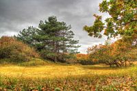 The dunes of Hdr