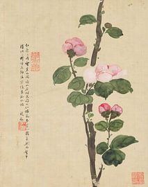 Flowers P. K., Liang Yuwei