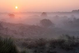 Amsterdam Water Supply Dunes by martin slagveld