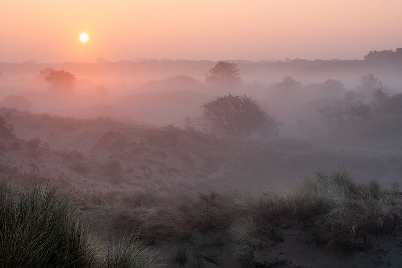 Amsterdam Wasserversorgung Dünen von martin slagveld