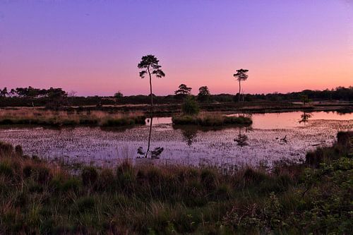 Zonsondergang met heldere kleuren.