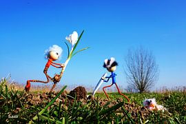 2 Fubby's pflanzt eine Krokuszwiebel. von Sailographic Paula