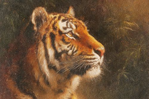 Tijger in het Ochtendlicht