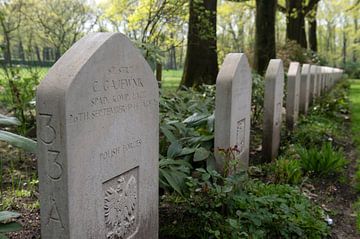Oosterbeek Nederland Airborne Britse en Poolse begraafplaats van Richard Wareham