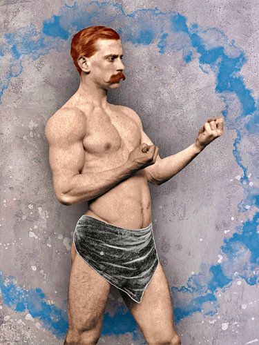 Bokser Blauw (serie van 4)