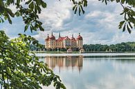 Schloss Moritzburg, Sachsen van Gunter Kirsch thumbnail