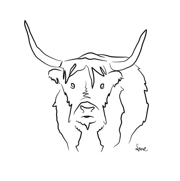 Bison Illustration von Sita Conijn